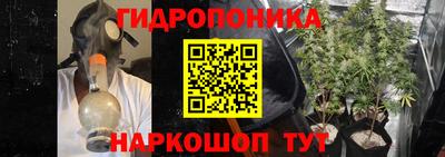 прущие крисы Изобильный